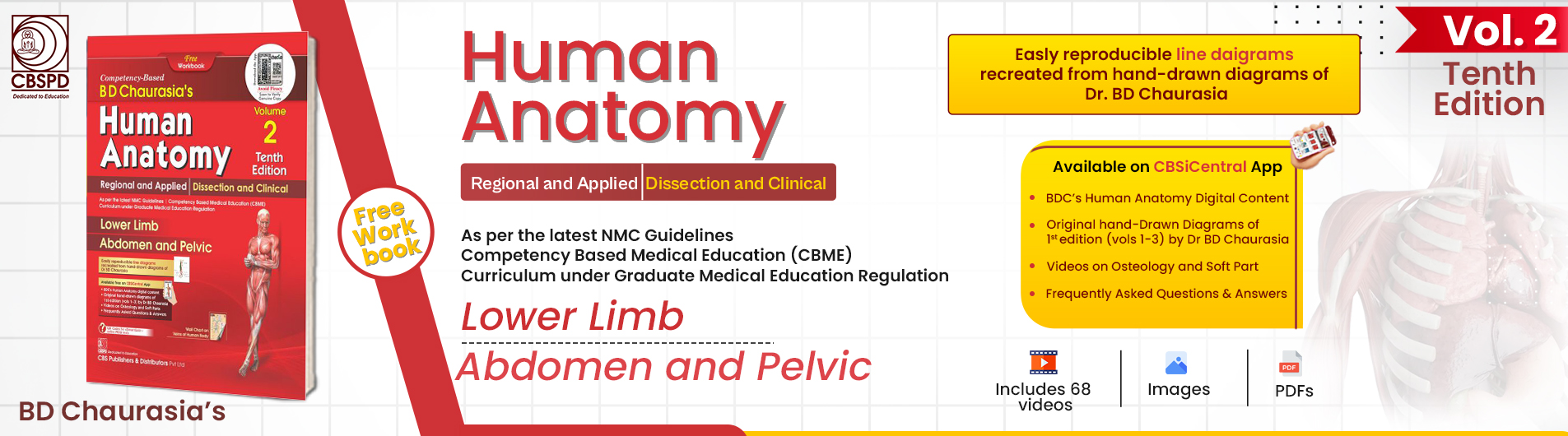 BD CHAURASIA'S HUMAN ANATOMY, 10/E, VOLUME 2