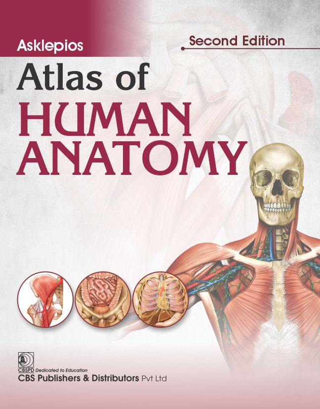Asklepios Atlas of Human Anatomy
